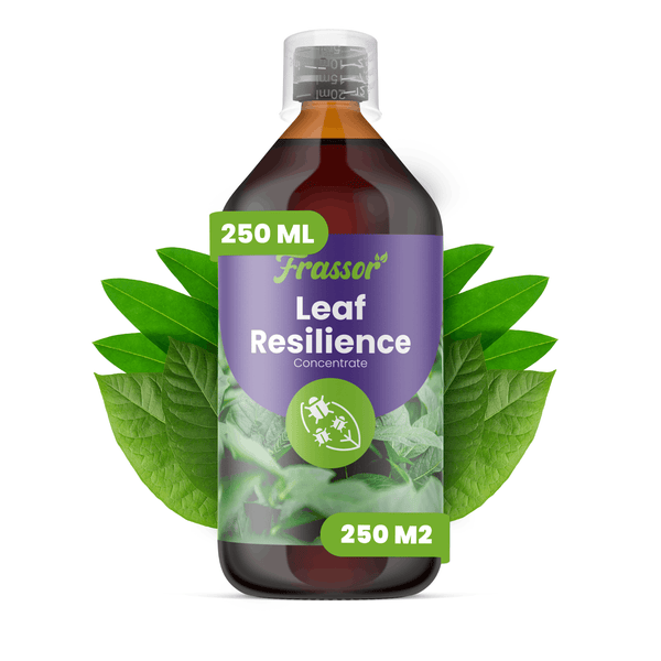 Frassor Leaf Resilience Konzentrat 250 Milliliter, Pflanzenstärkungsmittel für 250 Quadratmeter, Flasche mit Messkappe vor grünen Blättern.