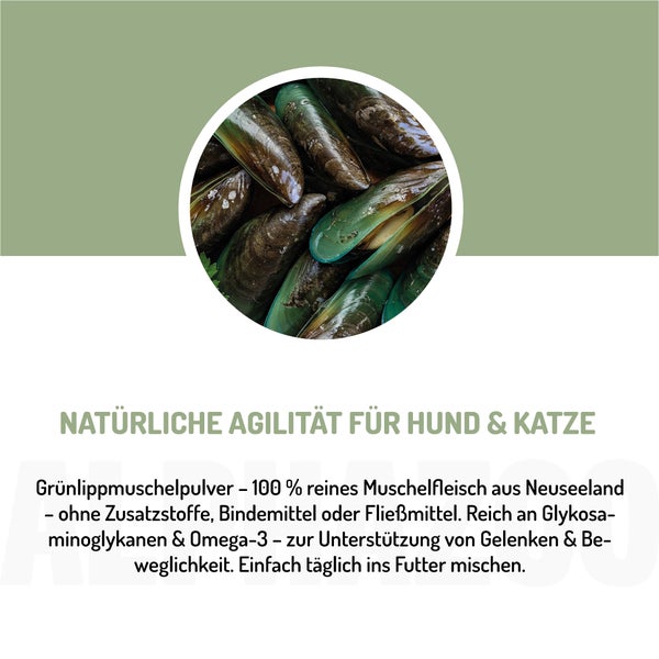 alphazoo Grünlippmuschel-Pulver 250g