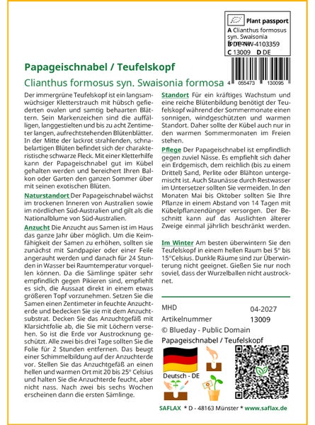 SAFLAX Garden to go - Papageischnabel / Teufelskopf - Clianthus formosus syn. Swaisonia formosa - 20 Samen - Mit Topf, Klima - Deckel und Anzuchtsubstrat