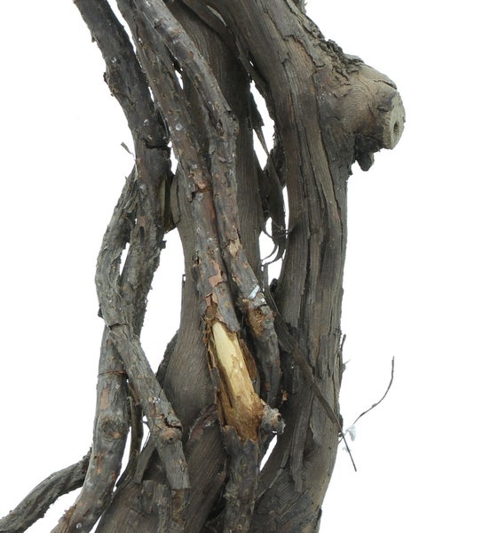 FRANK FLECHTWAREN | Kranz Weinrebe, REBENHOLZ, ca. Ø 35 x 7 cm