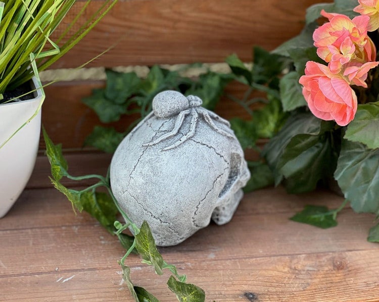 Dekorativer Totenkopf aus Stein mit einer Spinne als Gartendekoration zwischen Pflanzen auf Holz.