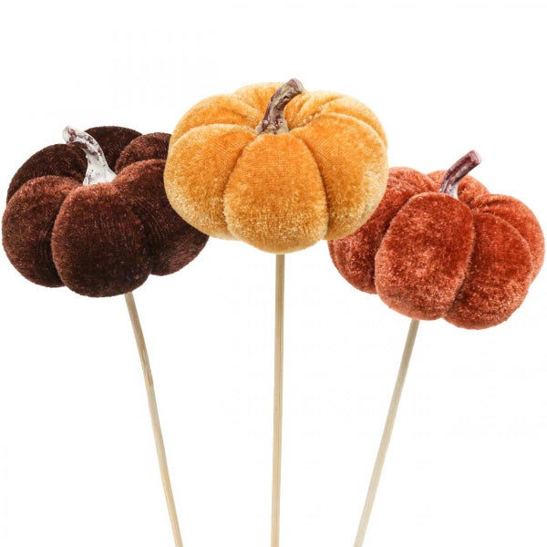 Drei dekorative Kürbisse auf Stielen
