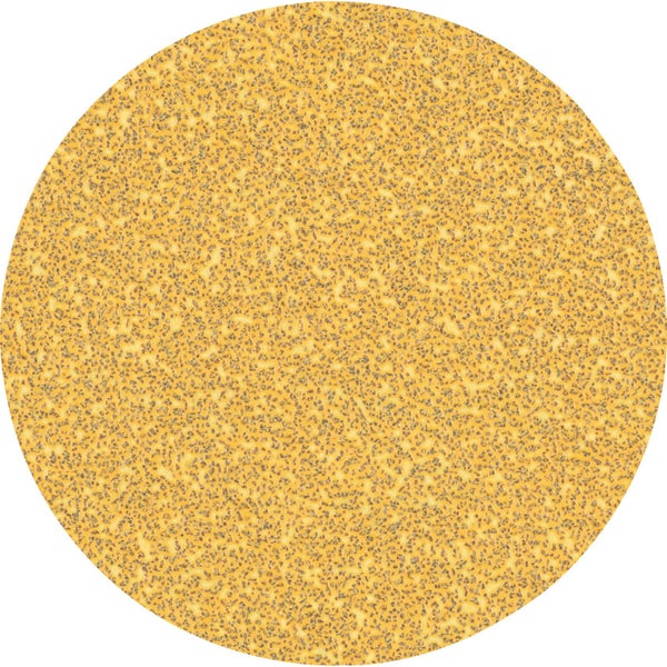 Schleifscheibe mit grober Körnung für Holzbearbeitung