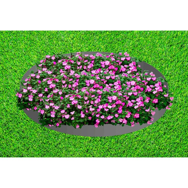 Beetbegrenzung mit rosafarbenen Blumen auf Rasenfläche