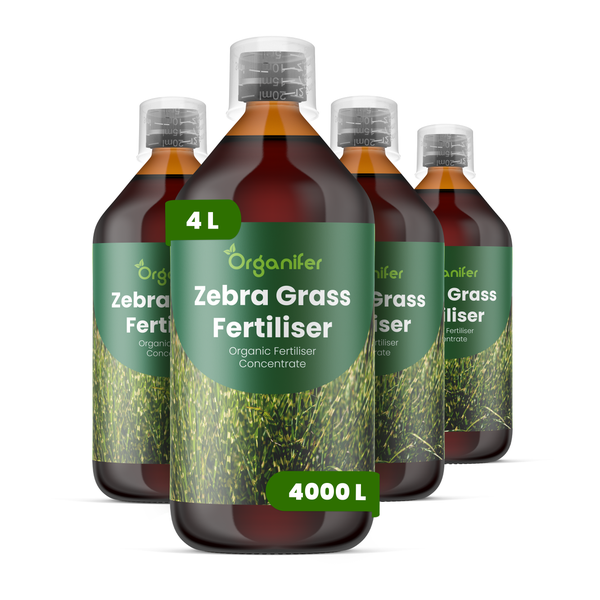 Vier Flaschen Organifer Zebragras Dünger, organisches Konzentrat, insgesamt 4 Liter, ergibt 4000 Liter.
