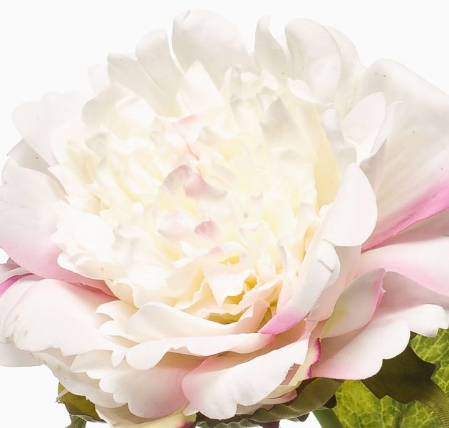 Künstliche Pfingstrose mit weiß-rosa Blüte, grünem Stiel und Blättern.
