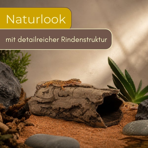 Terrarium-Dekoration in Rindenoptik mit detailreicher Struktur, als Versteck für Reptilien, dargestellt in natürlicher Umgebung mit einem Gecko.