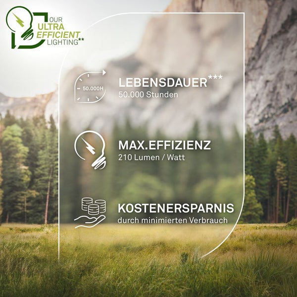 Produktmerkmale: Lange Lebensdauer von 50000 Stunden, maximale Effizienz von 210 Lumen pro Watt und Kosteneinsparungen durch minimierten Verbrauch.