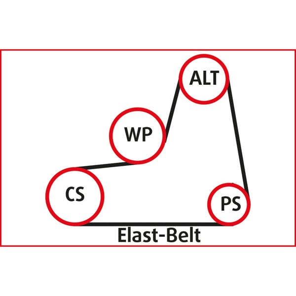 Darstellung eines Elast-Riemens mit zugehörigen Komponenten
