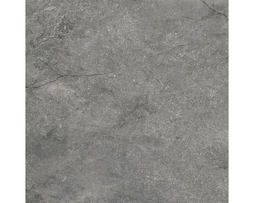 Wand- und Bodenfliese Wells ash matt 60x60cm