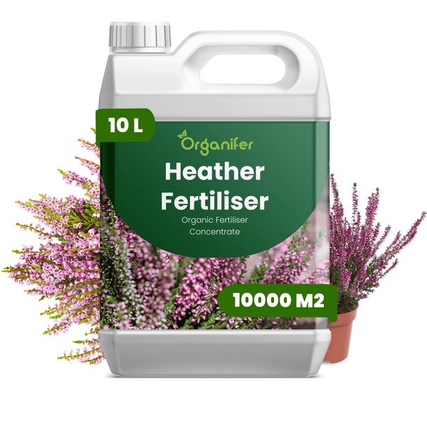 Organifer Bio-Heidedünger Konzentrat im 10-Liter-Kanister für 10.000 Quadratmeter.