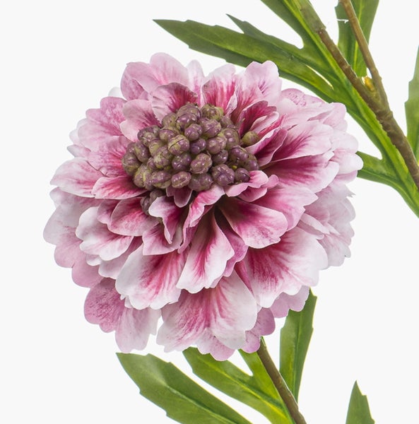 Künstlicher Zweig Scabiosa RUXTER, Hellrosa, 115cm - Kunst Scabiosazweig