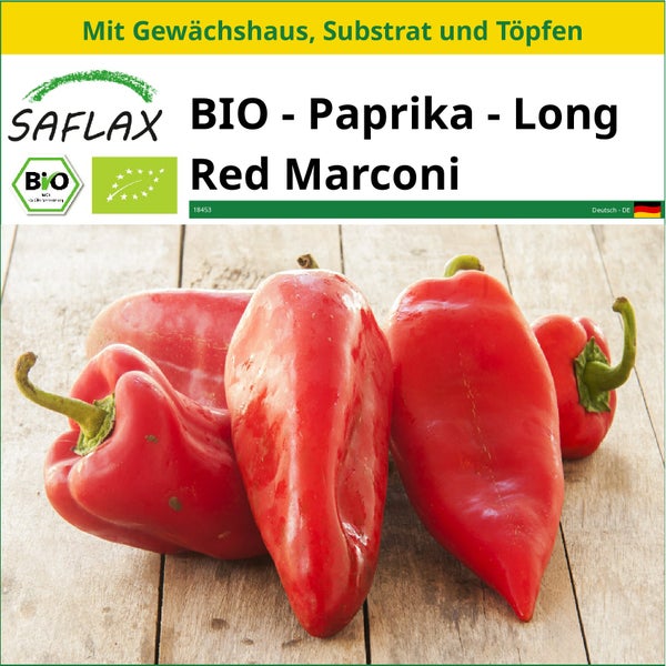 SAFLAX Anzucht Set - BIO - Paprika - Long Red Marconi - Capsicum annuum - 20 Samen - Mit Mini-Gewächshaus, Anzuchtsubstrat und 2 Töpfen