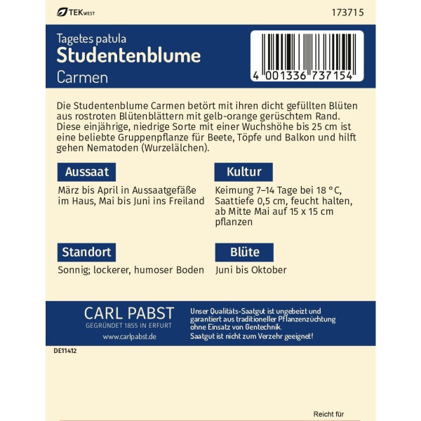 Studentenblume Carmen Samen von Pabst Keimkraft
