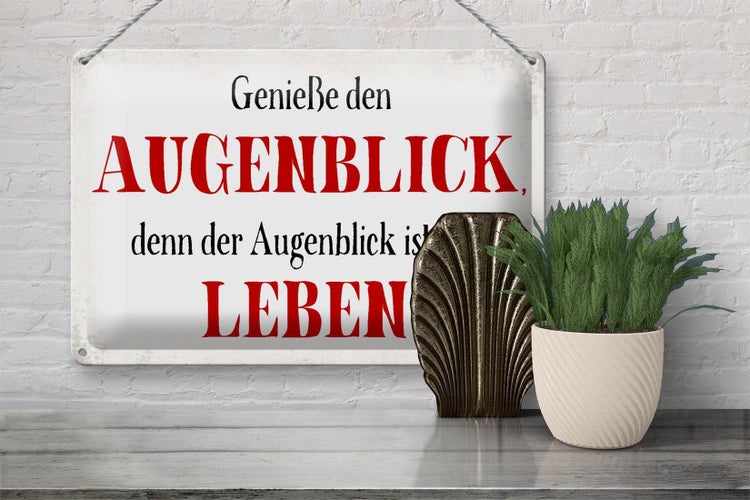 Blechschild Spruch 30x20cm genieße den Augenblick Leben