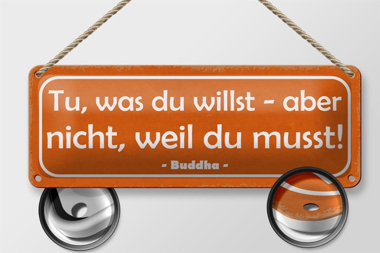 Blechschild Spruch 27x10cm tue was du willst aber nicht Dekoration
