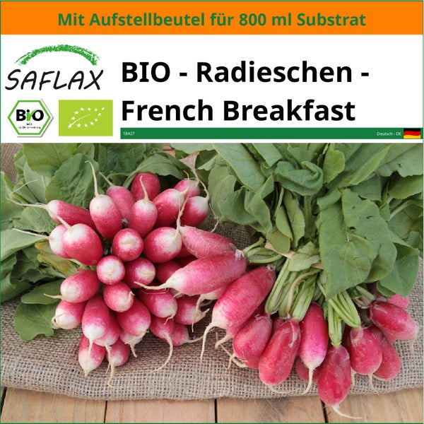 SAFLAX Garden in the bag - BIO - Radieschen - French Breakfast - Raphanus sativus - 150 Samen - Mit Anzuchtsubstrat im praktischen, selbst aufstellenden Beutel