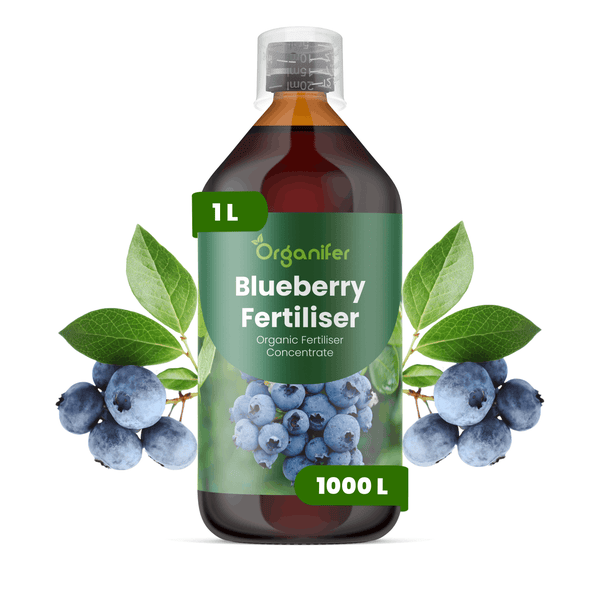 Organifer Blaubeerdünger, organisches Düngerkonzentrat, 1 Liter Flasche mit Messkappe.