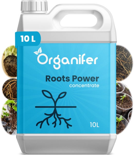 Wurzelstimulator - Roots Power Konzentrat - 10 Liter - Organifer
