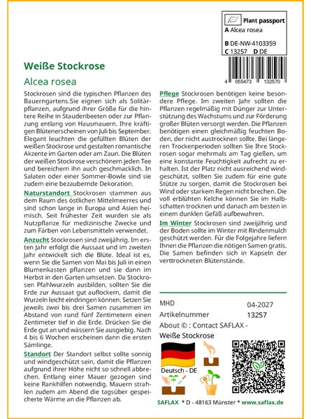 SAFLAX Garden to go - Weiße Stockrose - Alcea rosea - 100 Samen - Mit Topf, Klima - Deckel und Anzuchtsubstrat