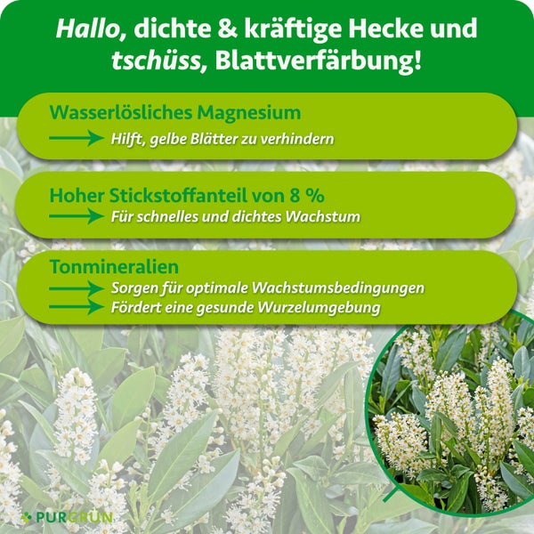 Infografik zum Purgrün Heckendünger mit Angaben zu wasserlöslichem Magnesium, Stickstoffgehalt von 8 Prozent und Tonmineralien für dichte Hecken.