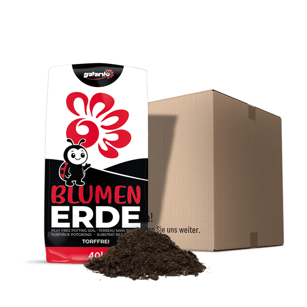 Sack Galamio Blumenerde, torffrei, 40 Liter, mit einem Haufen Erde und einem Versandkarton. Galamio Logo.