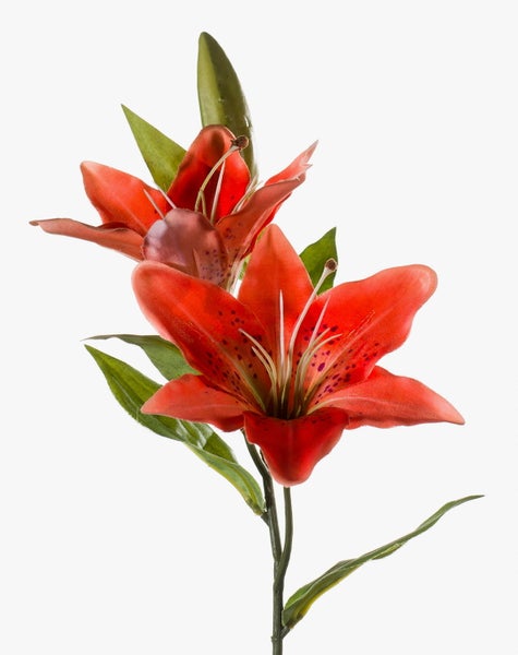 Künstliche Lilie mit zwei roten Blüten und grünen Blättern.