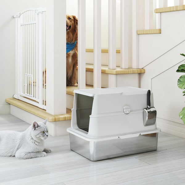 Katze neben Katzentoilette im Innenbereich, Hund hinter Treppengitter