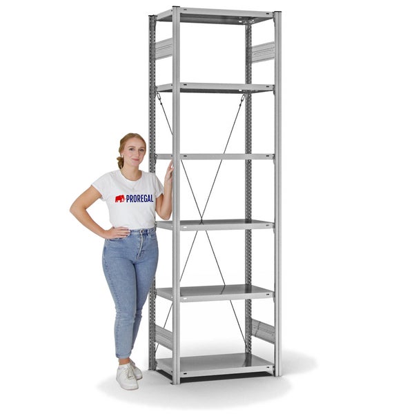 PROREGAL Fachbodenregal Stecksystem T-Profil Light-Duty Grundregal HxBxT 250 x 75 x 40 cm 6 Ebenen Fachlast 145 kg Einseitig Nutzbar Verzinkt