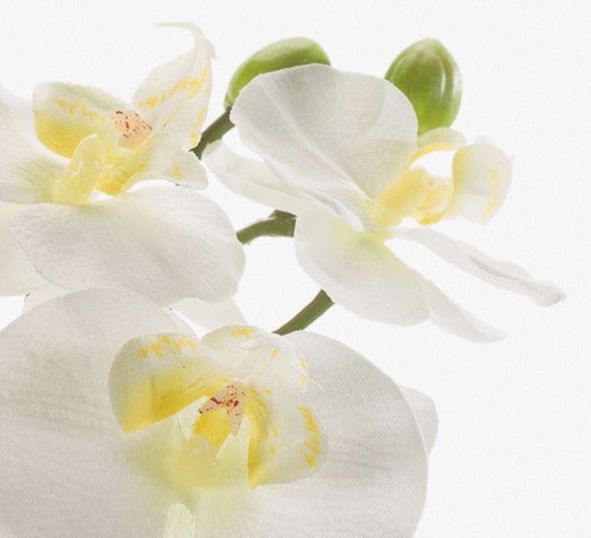 Künstliche Orchidee in Weiß mit gelber Mitte an einem grünen Stiel.