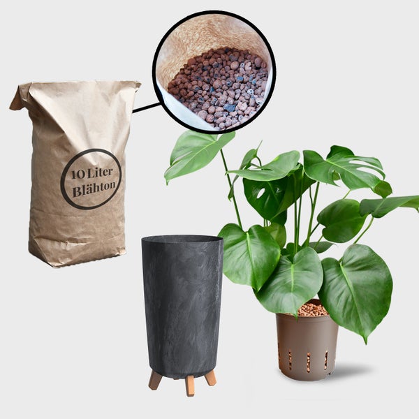 Blähton-Packung, Pflanze und Pflanzgefäß