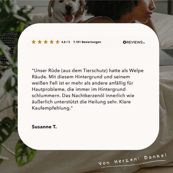 ALPHAZOO Premium Nachtkerzenöl 250ml für Hunde und Katzen I Vitale Haut und strahlendes Fell