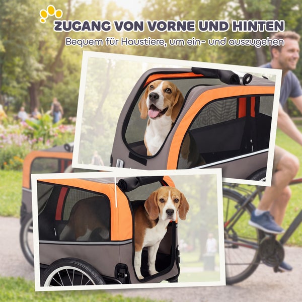 Fahrradanhänger für Hunde mit vorderem und hinterem Zugang, Beagle im Anhänger während einer Fahrt im Park.