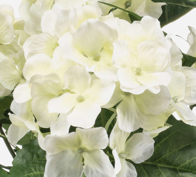 Künstliche Hortensie mit weißen Blüten aus Textil und grünen Blättern.