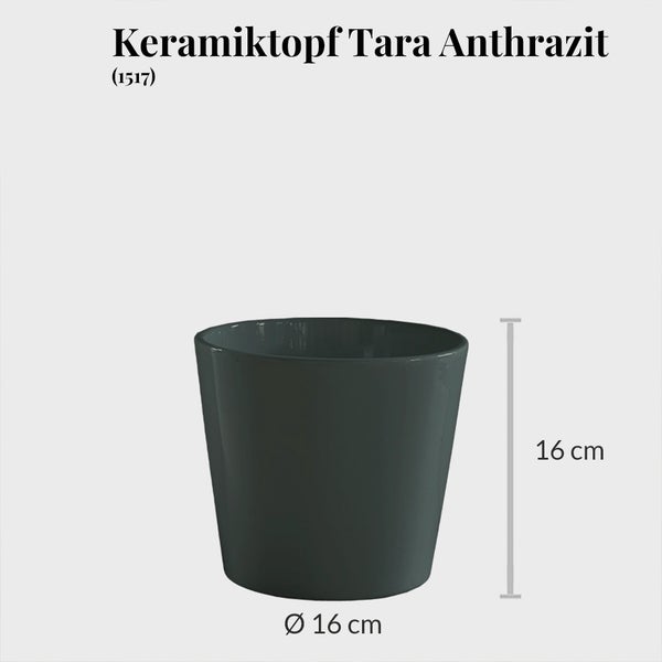 Tara Keramiktopf, Durchmesser und Höhe 16 cm