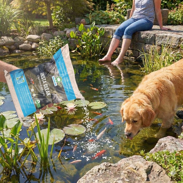 Anwendung von Velda Insta Clean Teichreiniger in einem Gartenteich mit Seerosen, Fischen und einem Hund.