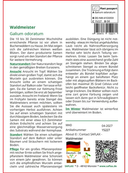 SAFLAX Garden in the bag - Waldmeister - Galium odoratum - 20 Samen - Mit Anzuchtsubstrat im praktischen, selbst aufstellenden Beutel