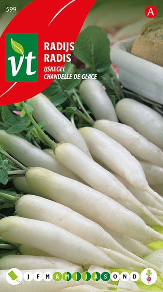 Radieschen Eiszapfen Samen
