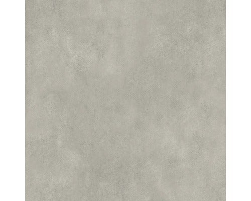 Feinsteinzeug Wand und Bodenfliese Classica hellgrau 79,8x79,8x0,8cm rektifiziert