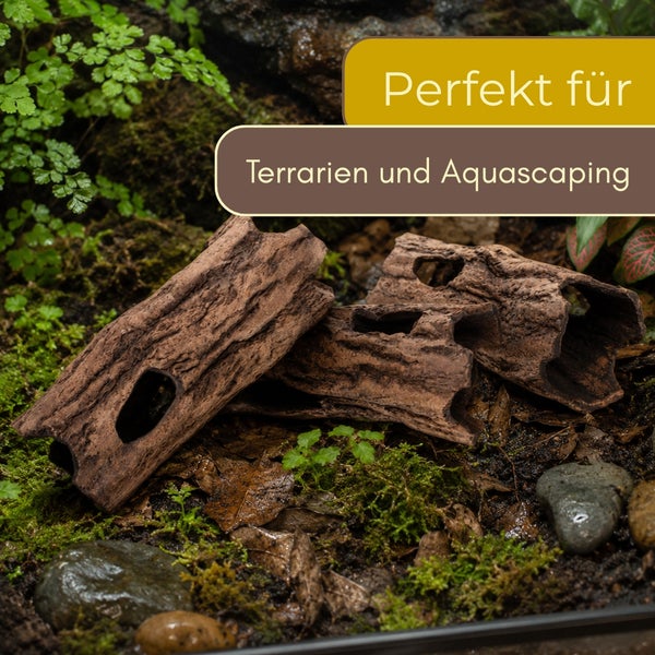 Dekorative Rindenhöhlen für Terrarien und Aquascaping, auf Moos und Steinen liegend.