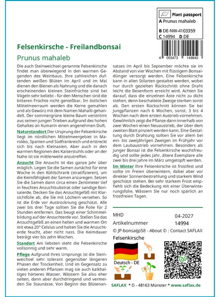 SAFLAX  - Felsenkirsche - Prunus mahaleb - 30 Samen