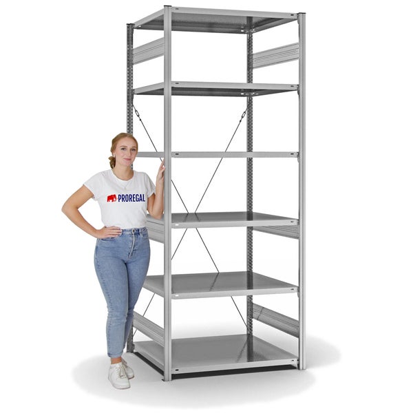 PROREGAL Fachbodenregal Stecksystem T-Profil Medium-Duty Grundregal HxBxT 250 x 100 x 80 cm 6 Ebenen Fachlast 230 kg Einseitig Nutzbar Verzinkt