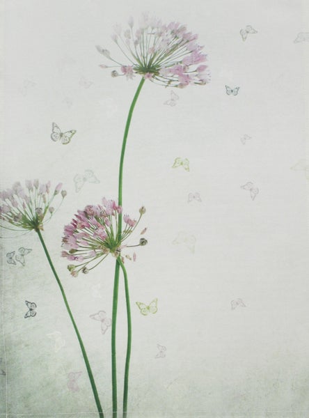 FRANK FLECHTWAREN | Tischläufer Allium, POLYESTER, 40 x 150 cm