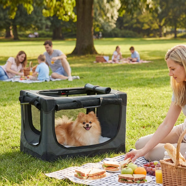 Faltbare Hundetransportbox aus Stoff mit Netzeinsätzen, in der ein kleiner Hund auf einer Wiese während eines Picknicks sitzt.