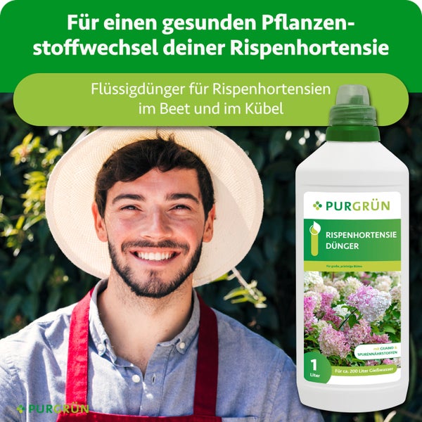 Ein lächelnder Mann mit Sonnenhut und Schürze neben einer Flasche Purgrün Flüssigdünger für Rispenhortensien im Beet und Kübel.