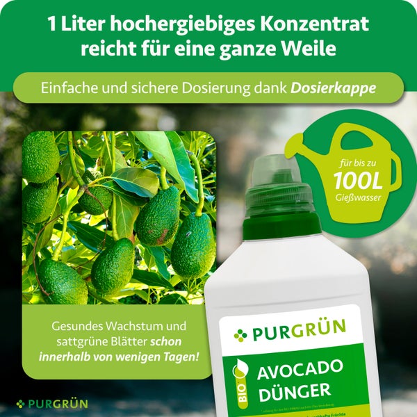 Purgrün Avocado Dünger Konzentrat 1 Liter mit Dosierkappe für 100 Liter Gießwasser, Bio-Qualität für gesundes Wachstum, Purgrün Logo.