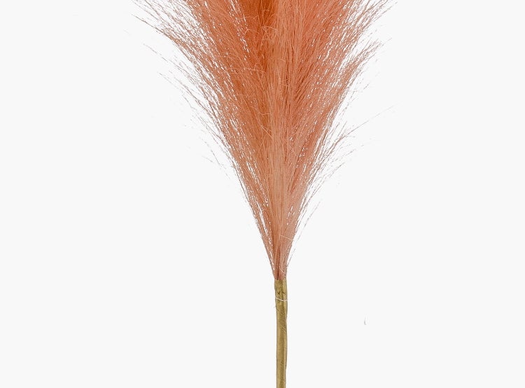 Künstliche Pampasgras Rispe AMATSIA, pfirsich, 115cm - Deko Pampasgras