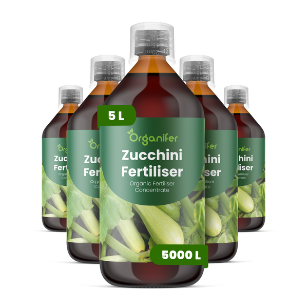 Organifer Zucchini-Dünger, organisches Düngerkonzentrat, 5 Liter, Packung mit 5 Flaschen.