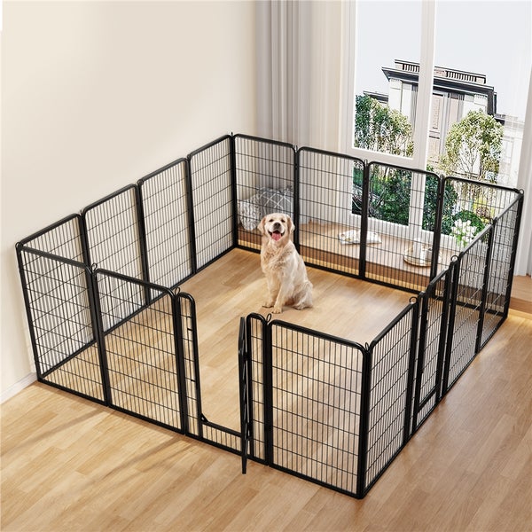 Hund in einem schwarzen Metall-Laufstall mit Tür im Innenbereich.