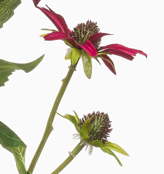 Künstlicher Sonnenhut Echinacea mit magentafarbenen Blüten und grünen Blättern.